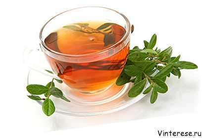 Полезные свойства чая | Лечебные свойства чая
